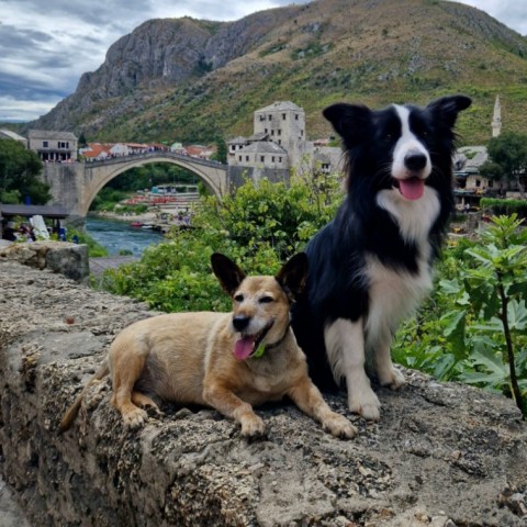 Fülöpke és Yamila